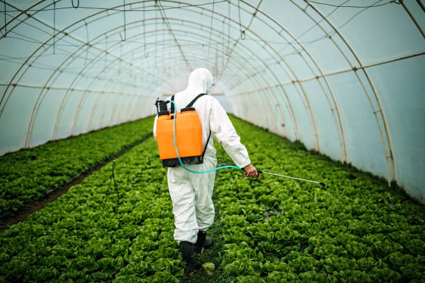 Best Best Pest Control Companies  in Angola On The Lake, NY