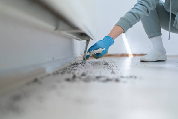 Best Wildlife Control Services  in Angola On The Lake, NY